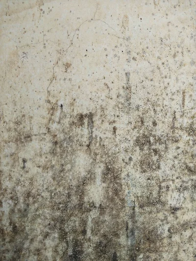 A wall with a severe case of damp